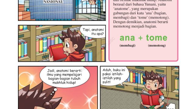 Halaman panel komik yang menjelaskan definisi dasar "Anatomi". Terlihat karakter Komji menemukan buku merah di Perpustakaan Nasional, disertai kotak teks informatif yang menjelaskan asal kata anatomi dari bahasa Yunani (ana = membagi, tome = memotong) (arsip sEntra)