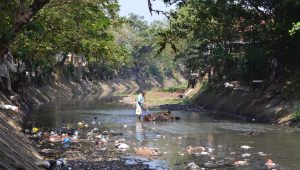 Seorang warga sedang membersihkan sampah di Sungai Bojongsoang, Kab. Bandung, Senin (13/07/2026). Foto: Juni, Pers Mahasiswa sEntra